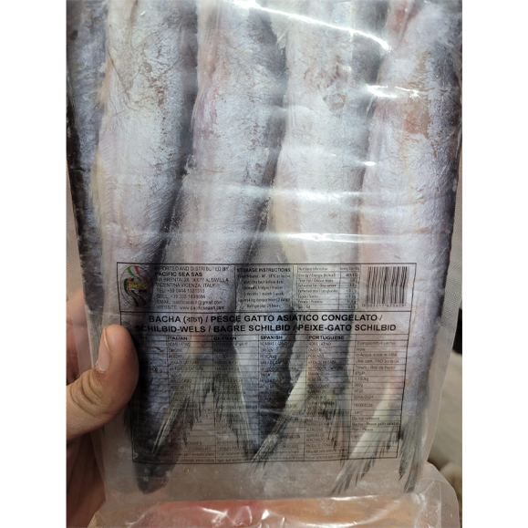 Bacha Pesce Gatto Asiatico Congelato